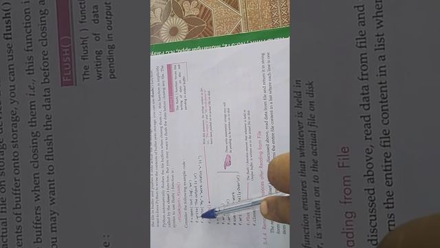 Computer science bhuvaneswari 12 Python Example to flush function смотреть онлайн