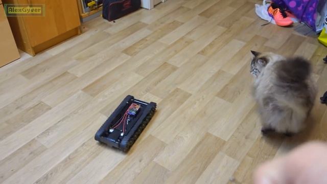 ?Простой робот с камерой своими руками смотреть онлайн