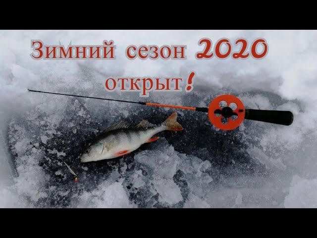 Открыли сезон 2020 Зимняя рыбалка, на уху наловил! #NIK_72 смотреть онлайн