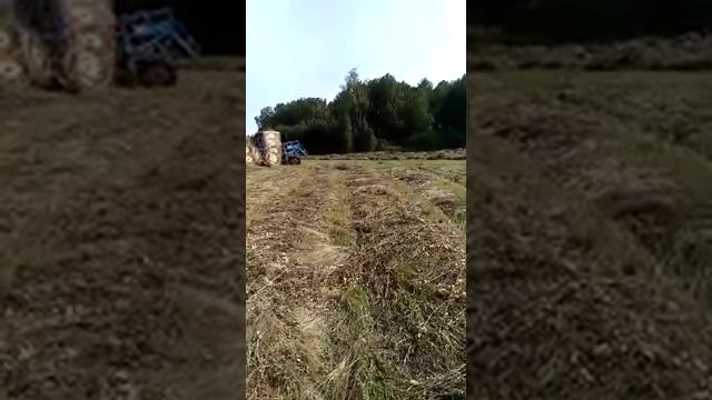 грабли ГВВ-6М. Чебаркульский район Челябинская область. смотреть онлайн