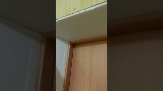 Стройка дома своими руками. Откосы дверей. #10