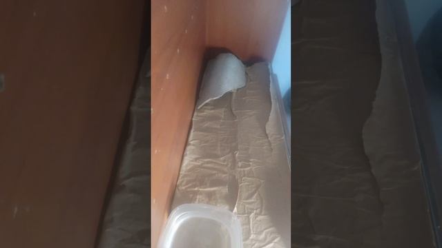 pitón boa forma de vivir y de comer смотреть онлайн