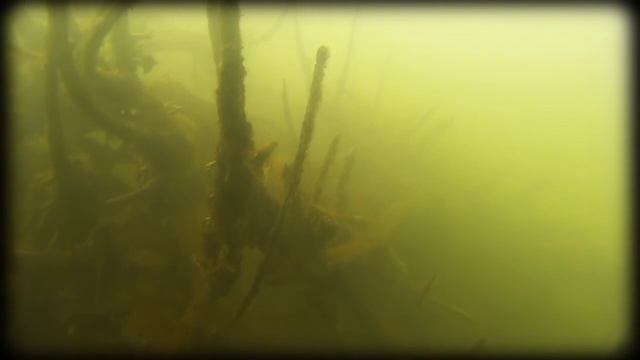 Spearfishing on small river.Подводная Охота на малой реке."Речка" смотреть онлайн