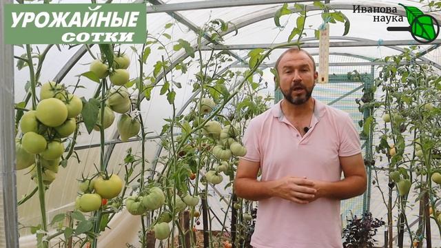 КАК ХРАНИТЬ ТОМАТЫ, ОГУРЦЫ И ПРОЧИЕ ОВОЩИ, ЧТОБЫ СОХРАНИТЬ ПОДОЛЬШЕ? И без потери вкуса и пользы! смотреть онлайн