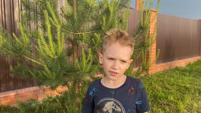 Даниил Квасов- Зимняя дорога смотреть онлайн