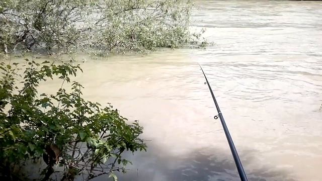 рыбалка на реке с поплавком смотреть онлайн
