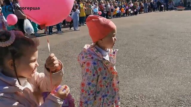 ВИДЕО коляски смотреть онлайн