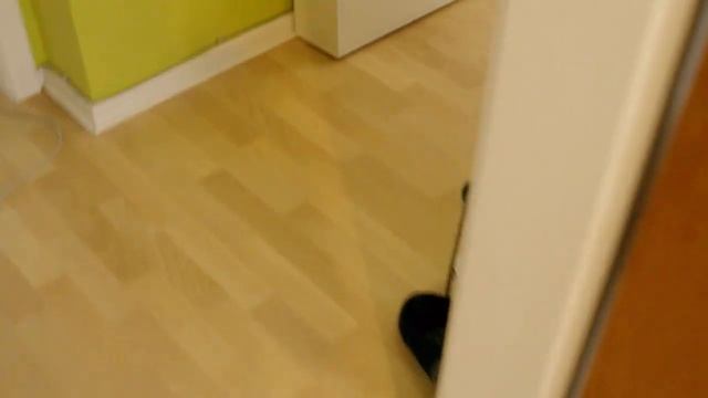 MMA fight with mommy - 4 months old french bulldog puppy HD смотреть онлайн