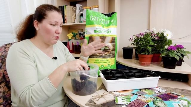 ПРОЕКТ "КАПУСТНИК" | Как посадить и вырастить рассаду капусты в домашних условиях? смотреть онлайн