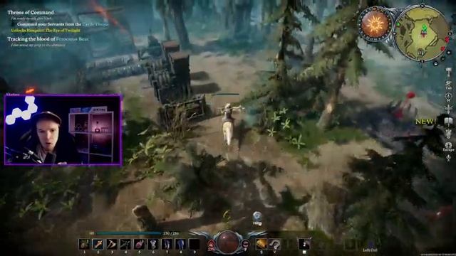 ТОП СОВЕТЫ ДЛЯ НОВИЧКОВ - V RISING ГАЙД смотреть онлайн