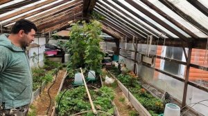 Куры перешли в новый дом. Покупки для новой квартиры.