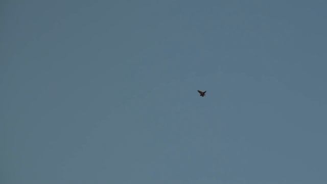 Подьем безкружных голубей на даче смотреть онлайн