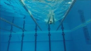 Брасс| Техника Поворота Практика| КАК НАУЧИТЬСЯ ПРАВИЛЬНО ПЛАВАТЬ| How to learn to swim Breaststrok