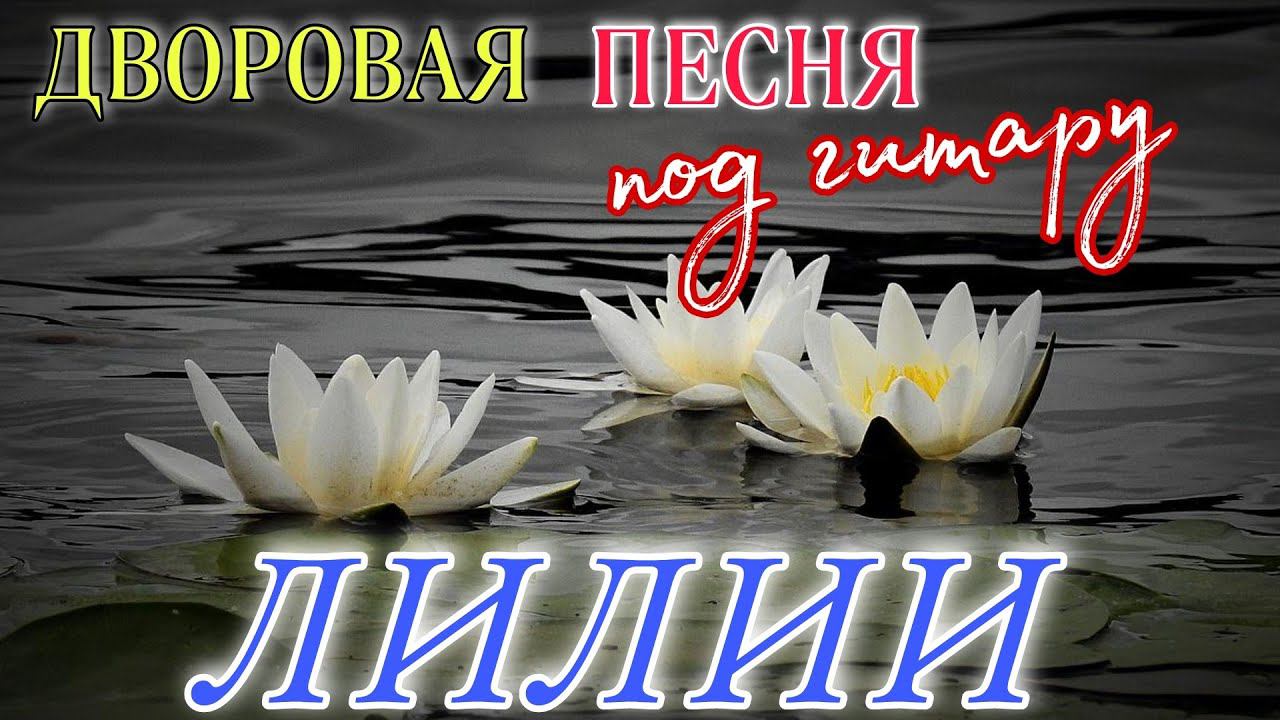 ЛИЛИИ (дворовая песня) смотреть онлайн