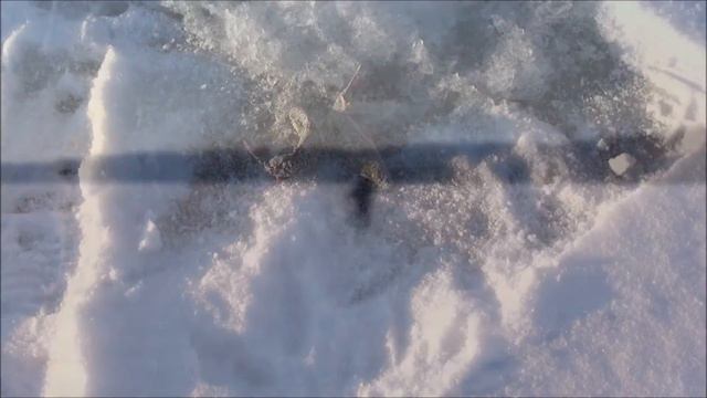 солнечный день озера 1001016 смотреть онлайн