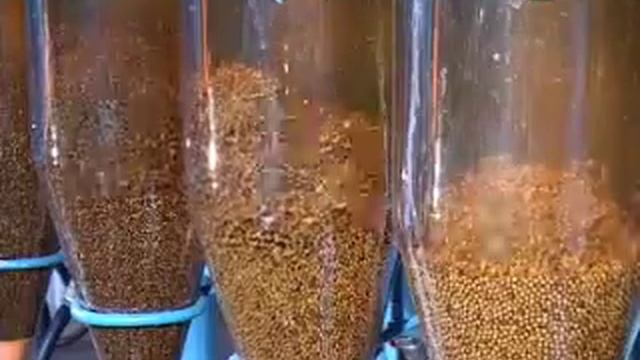 Промывание икры смотреть онлайн