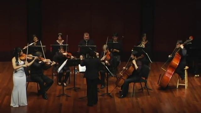 Saint-saens Violin Concerto No. 3 смотреть онлайн