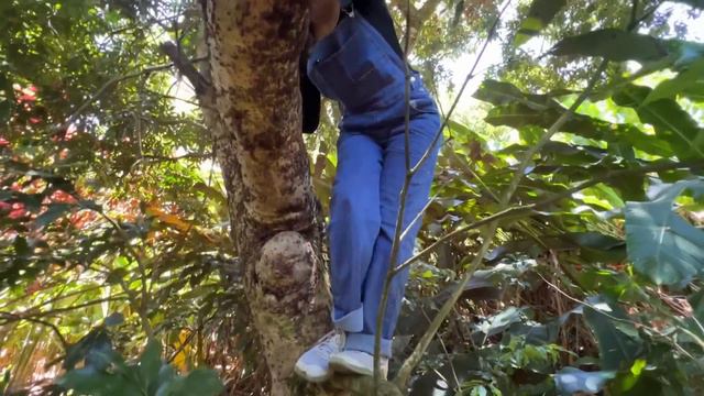 We Survived Hawaii's Toughest Job (Our Crazy Summer Job Experience) смотреть онлайн