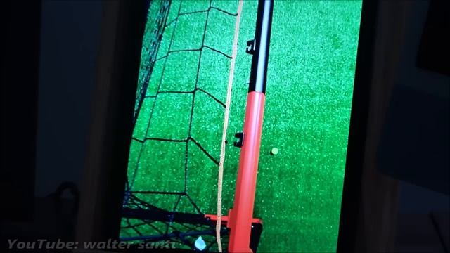 Goalkeeper Cat Got Snubbed from World Cup! смотреть онлайн