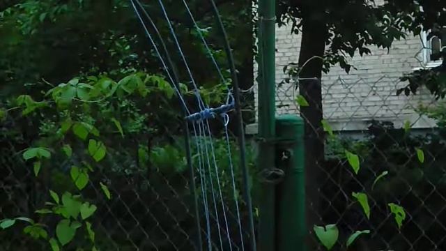 Синичка кормит птенцов. смотреть онлайн