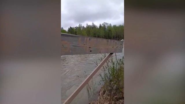 Жители Хабаровского края пожалуются губернатору на золотодобытчиков смотреть онлайн