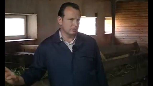 Живой дом Экоферма 'Подушкино' смотреть онлайн