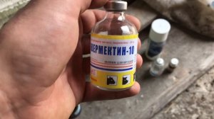 Чесотка у свиней. Как с ней бороться!