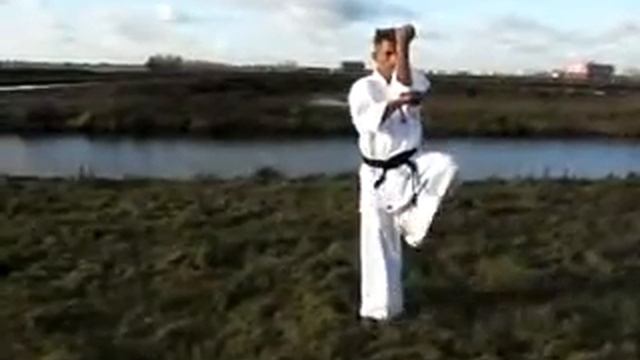 Mas Oyama Kata Naihanchi (Tekki) Kyokushin Ryu Karate смотреть онлайн