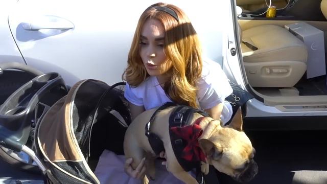 24 HOURS BEING PREGNANT W/ My Pregnant Sister!