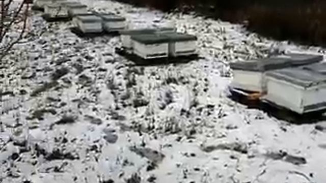 Экстремальная зимовка часть 2 смотреть онлайн