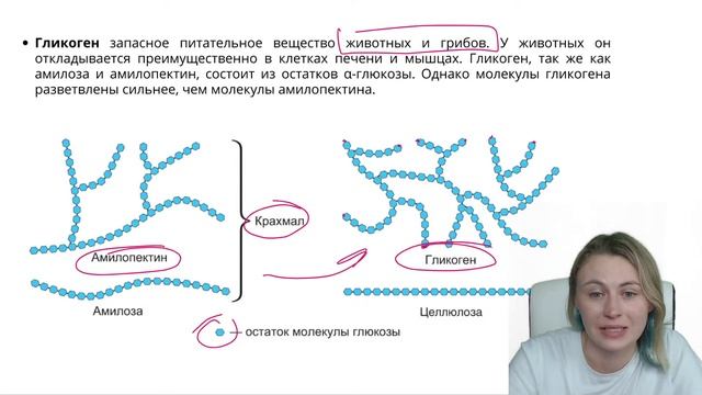 Химия для биолога.Углеводы | ЕГЭ по биологии | Ксения Напольская | 100балльный репетитор смотреть онлайн