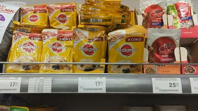 Цены на корм для животных и зоотовары в Москве. Карусель. смотреть онлайн