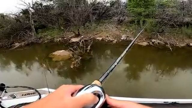 HOOKED UP On a Strange BYCATCH While Bass Fishing! (Not What I EXPECTED) смотреть онлайн