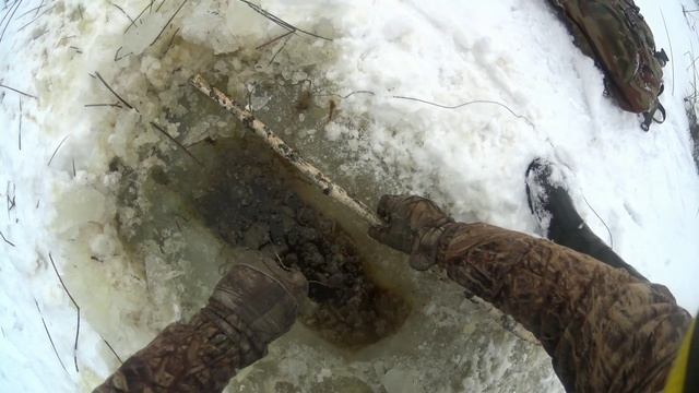 Охота на бобра капканами зимой. Есть бобр+выдра.Ну и жутковато одному.#охотанабобра#капканы#выдра# смотреть онлайн