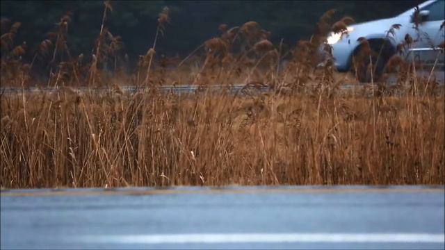 с 1 января 2021 года вступает в силу новый порядок медосвидетельствования для водителей смотреть онлайн