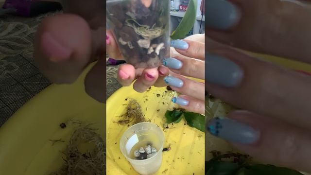 Доходяжки реанимашки без номеров смотреть онлайн
