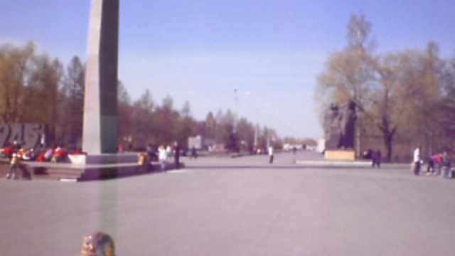 ролики