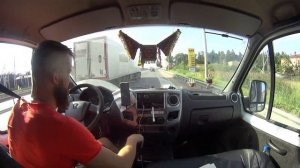 загрузка 7 паллет в газель с будкой 3м 17см  КАК,возможно или нет?