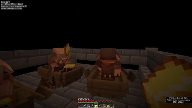 How to get dirt in Skyblock Survival - Minecraft 1.19 - Skyblock 4.10+ смотреть онлайн