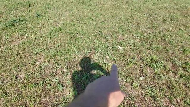 Верблюды в городе ❗ Круглое сено и родина Скриптонита Розыгрыш ? смотреть онлайн