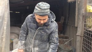 Состав комбикорма, в домашних условиях, для откорма свиней в весе от 25 - 50 кг. Свиноводство.