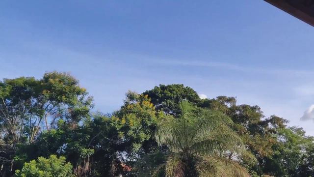 Charlie Mariano & Jasper van't Hof Quartet, Vienna (1986) смотреть онлайн