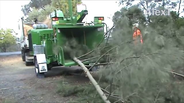 Dangerous Giant Excavator Cutting Tree Super Fast - Biggest Tree Harvest Wood Cutting Machines смотреть онлайн