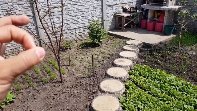 Приехали домой ? тут всё цветёт и пахнет смотреть онлайн