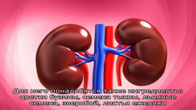 Как лечить песок в почках в домашних условиях смотреть онлайн