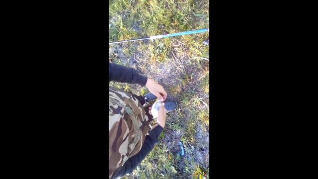 Ловля плотви и красноперки + тест прикормки Fanatik! ПЕРВОЕ ВИДЕО, несудите строго😉!!! смотреть онлайн