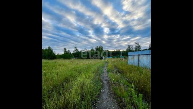 11274747 смотреть онлайн
