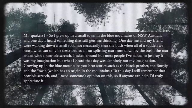10 Heart Stopping Cryptid Encounters from Reddit: Cryptids Episode 1:4 смотреть онлайн