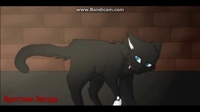 Коты - Воители Бич - Теперь мой друг нож старина ( Заказ ) смотреть онлайн