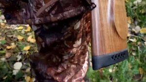 охота на изюбря на реву